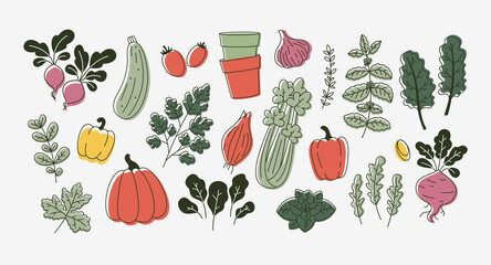  Various vegetables collection. Linear flat graphic. Healthy food design. 
