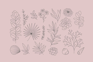 Modern minimalist exotic floral elements collection. Outlined leaves and flowers. 