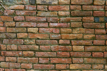 The ancient brick wall Brown Needle Texture background.