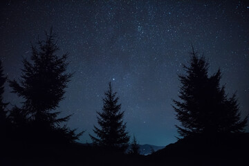 Fototapeta na wymiar Night photo. Silhouettes of fir trees in the mountains and the starry sky.