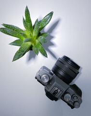 flower shadow next to photographic equipment, camera