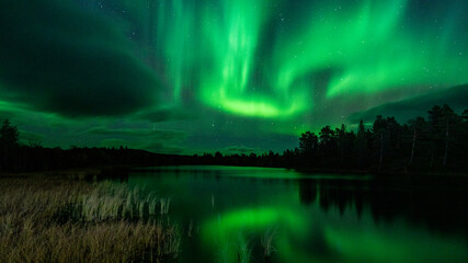 Fototapeta na wymiar Northern lights, Torneträsk, Abisko, Sweden
