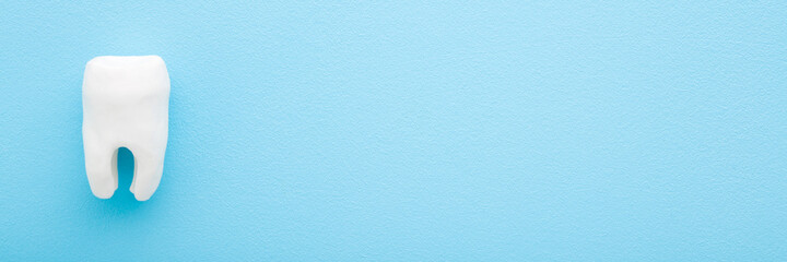 White tooth on light blue table background. Pastel color. Empty place for text. Dental wide banner. Top down view. Closeup.