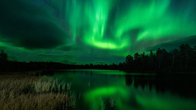 Northern lights, Tornetr&auml;sk, Abisko, Sweden