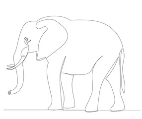 elephant drawing by one continuous line isolated, vector