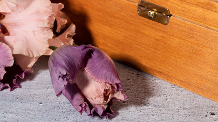 Beautiful fresh purple irises lies next to an old wooden jewelry box close up. Retro composition. 