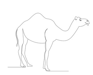 camel drawing by one continuous line isolated, vector
