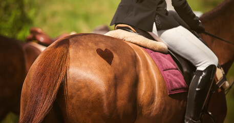 The heart symbol is shaved on the rump of a sorrel horse, on the back of which sits a rider on a...