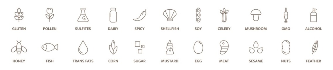 Allergen line icon big set. Nut, corn, milk, honey, gluten mustard, gmo sesame, lactose fish, egg mollusk free. Organic and natural food labels. Allergy warning ingredients. Vector illustration