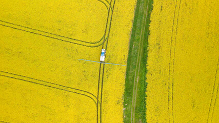 Flight behind a tractor digging the field