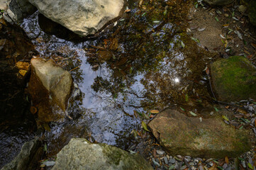 水面に反射する自然の風景
