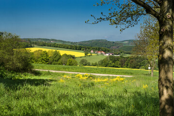 Weserbergland Ostwestfalen Lippe Frühling