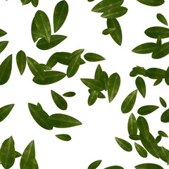 緑の葉っぱ背景素材シームレス