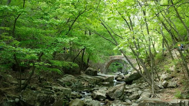 Jogyesan mountain Seonamsa Temple green forest in Suncheon, Korea