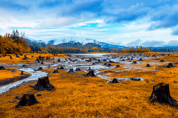 Colorful autumn countryside in Washington States,USA