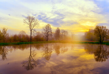 Early foggy morning at the pond. Reflection of trees in the water. Spring morning.
