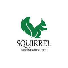 Squirrel logo design template. Vector illustration