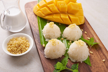 Ripe mango and sticky rice with coconut milk on wood plate on stone   background, Tropical fruit.  Dessert fruit. Thai sweet dessert on summer season.