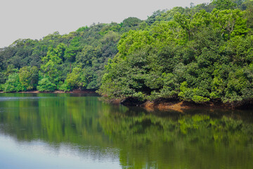 Amazing landscape of lake with crystal clear water and trees.