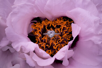 White gold engagement ring with a heart-shaped diamond lying lying in the middle of a peony flower...