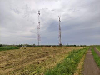 Communication towers on the background of an agricultural field