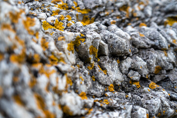 Folhammar Rauk area, Gotland, Sweden