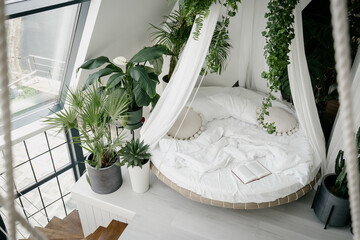 White bed and houseplants in cozy bedroom