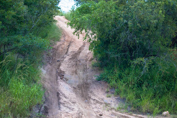 Sandy gravel road uphill through the Kruger national park. Extreme off road route. Seen at game drive, South Africa.