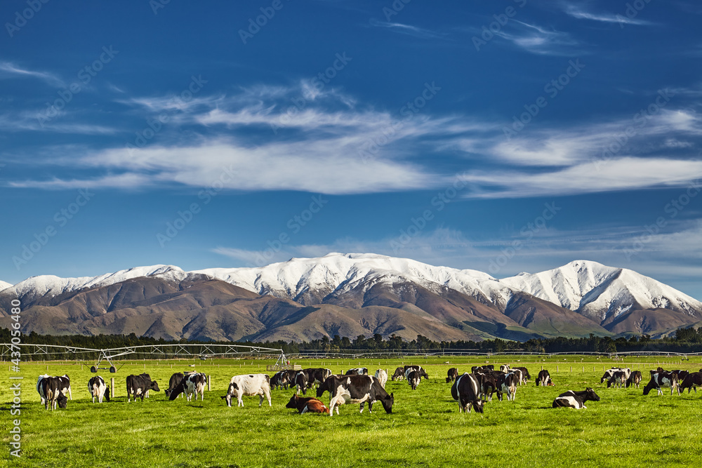 Wall mural New Zealand landscape