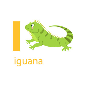 Cute iguana card. Alphabet with animals. Colorful design for teaching children the alphabet, learning English. Vector illustration in a flat cartoon style on a white background