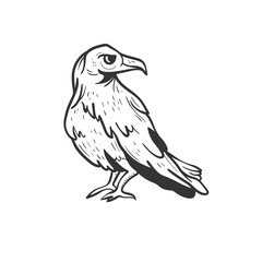 Raven. Halloween Design Elements Set. Hand Drawn Cartoon Doodles. Vector illustration. Template social madia post