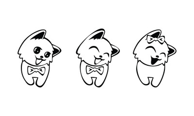 cute cat