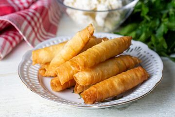 Sigara Boregi - Turkish Cigar Shaped Rolls