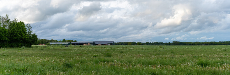 panorama view of typical large Dutch farm with many buildings and fields under an overcast sky