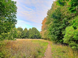 Naklejka premium Russia, Moscow region, Balashikha, sky, nature, forest, road