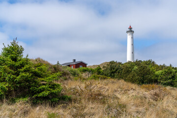 typical Danish coastal landscape with red house and Lyngvid Fyr lighthouse in the sand dunes - obrazy, fototapety, plakaty