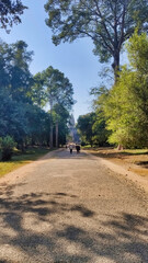 Fototapeta na wymiar Road to Angkor Wat temple. Khmer temple. Unesco World Heritage Site. Siem Reap Province. Cambodia. South-East Asia