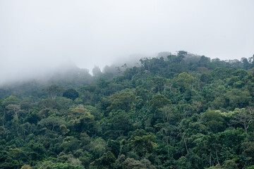 fog in the mountains