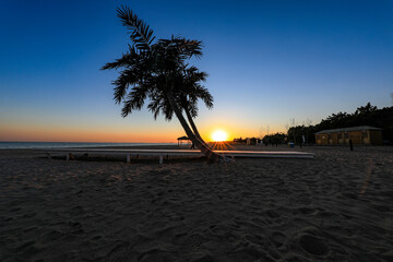 Coconut tree landscape on the beach, North China