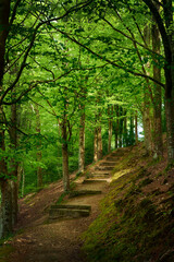 quimper frugy in brittany france