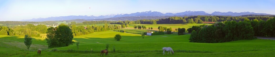 Wide angle panoramic view of the bavarian alps in germany with 3 horses in summer, as seen from Feldkirchen-Westerham, Bavaria. - obrazy, fototapety, plakaty