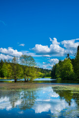 Germany, Beautiful ebnisee lake water near kaisersbach in idyllic green woodland nature scenery in...