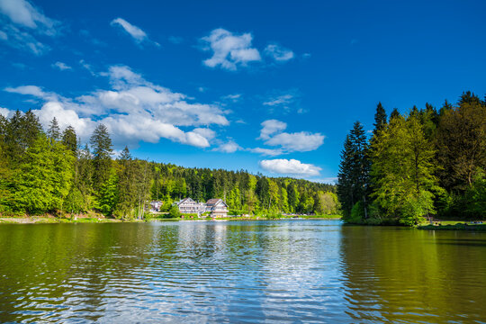 Germany, Ebnisee lake near kaisersbach in idyllic green forest nature landscape with old houses and beautiful scenery under blue sky