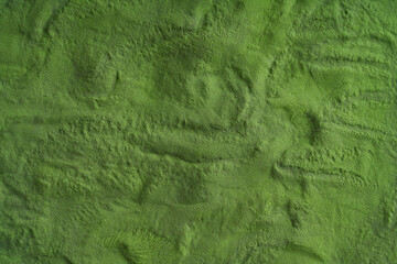 Background made of healthy chlorella algae powder