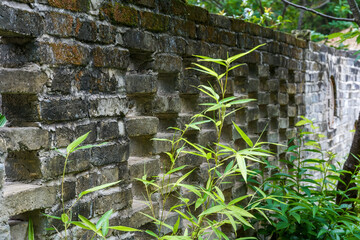 Close-up of textured wall made of bricks