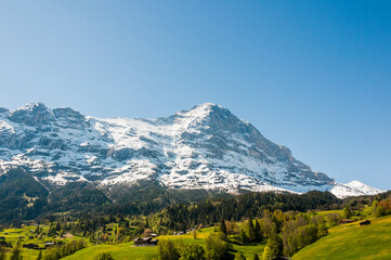 Grindelwald, Eiger, Eigernordwand, Mönch, Jungfrau, Alpen, Berner Oberland, Kleine Scheidegg, Wanderweg, Männlichen, Lauberhorn, Bergdorf, Frühling, Sommer, Schweiz