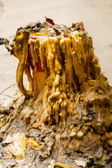 Lots of candle tears on a zinc container.,candle drippings