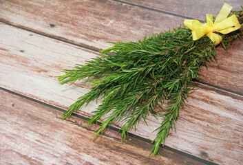 sprigs of green rosemary with sharp leaves