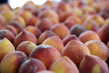 rows of peaches