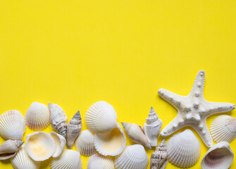 summer background with seashells and starfish on yellow
